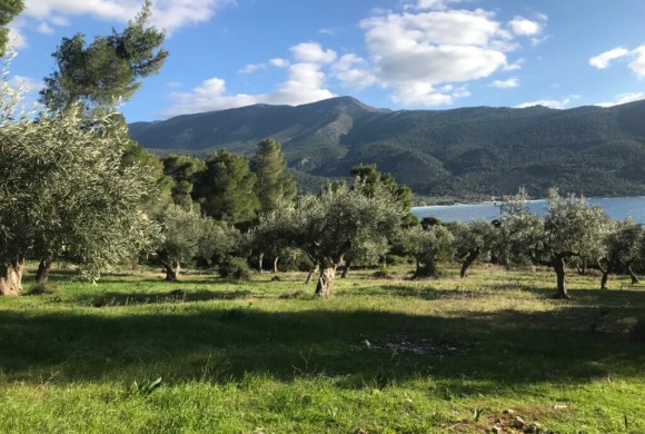 Land for sale in Rest of Attica