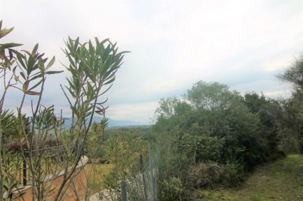 Land for sale in 