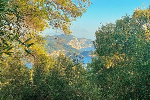 Land for sale in Corfu Prefecture