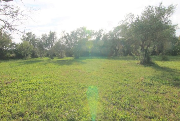 Land for sale in Corfu Prefecture
