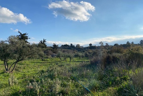 Land for sale in Chania Prefecture