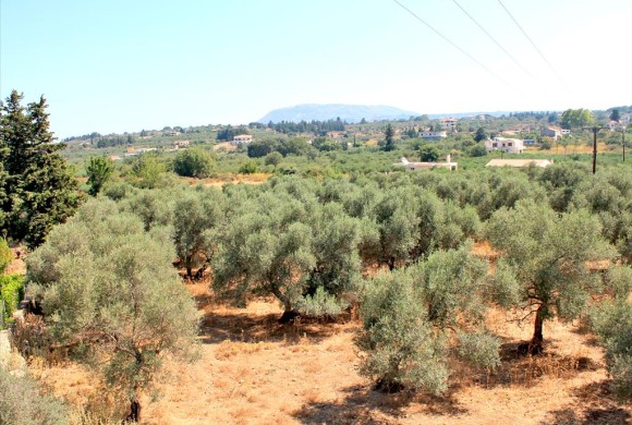 Land for sale in Chania Prefecture