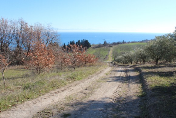 Land for sale in Pieria Prefecture