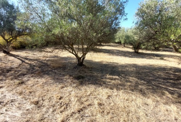 Land for sale in Suburbs