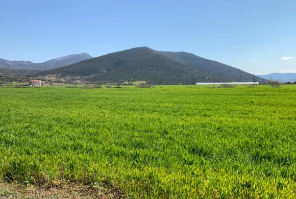 Land for sale in Suburbs