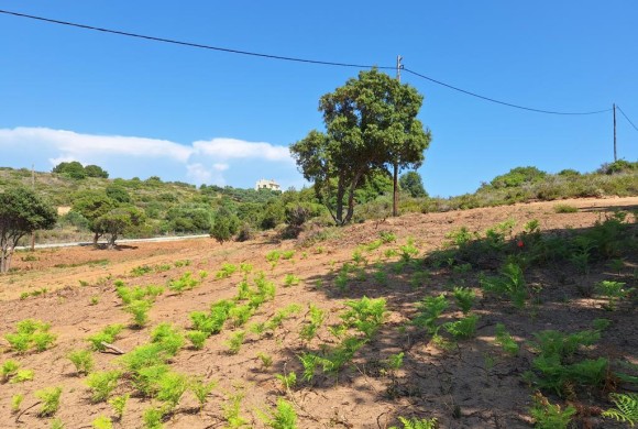 Land for sale in Corfu Prefecture