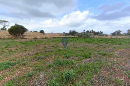 Land for sale in 