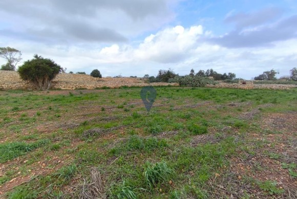 Land for sale in Zejtun