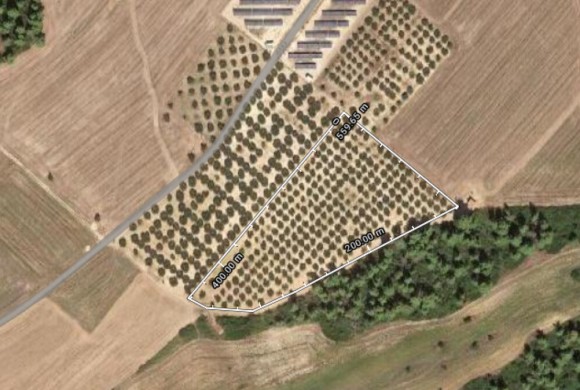 Land for sale in Chalkidiki