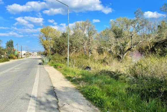 Land for sale in Corfu Prefecture