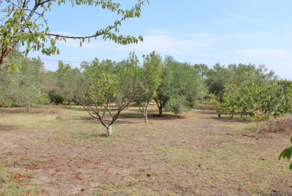 Land for sale in Pieria Prefecture