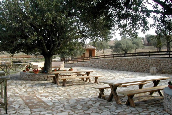 Land for sale in Argolis