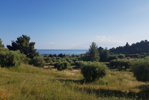 Land for sale in Chalkidiki