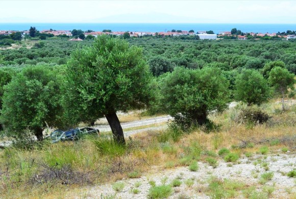 Land for sale in Chalkidiki