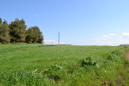 Land for sale in 