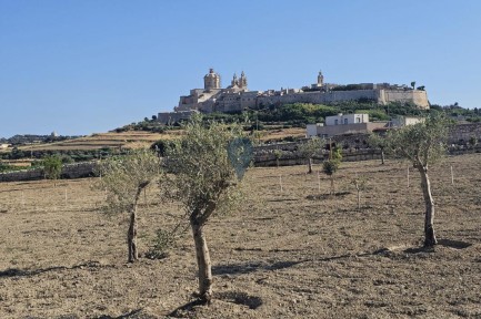 Land for sale in
