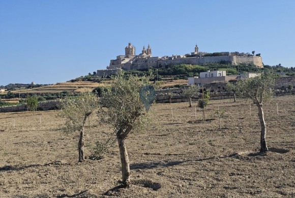 Land for sale in Imtarfa