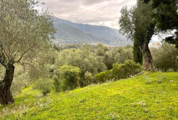 Land for sale in Corfu Prefecture