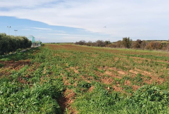 Land for sale in Chalkidiki