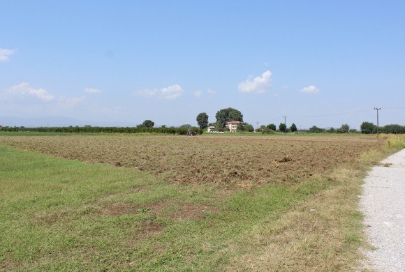 Land for sale in Pieria Prefecture
