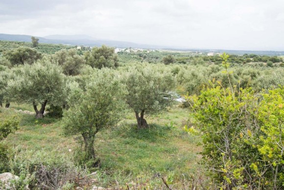 Land for sale in Rethymno Prefecture