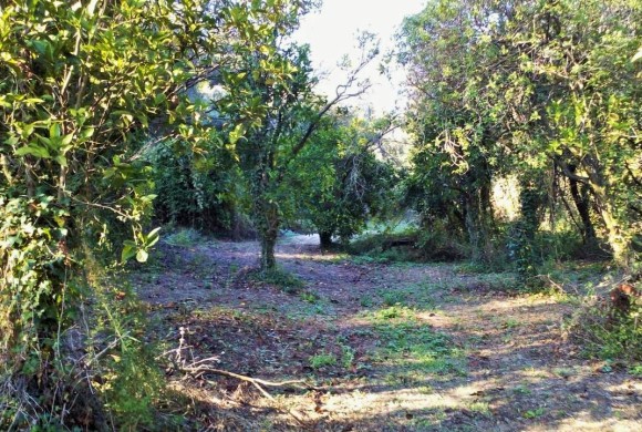 Land for sale in Corfu Prefecture