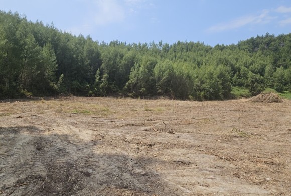 Land for sale in Chalkidiki