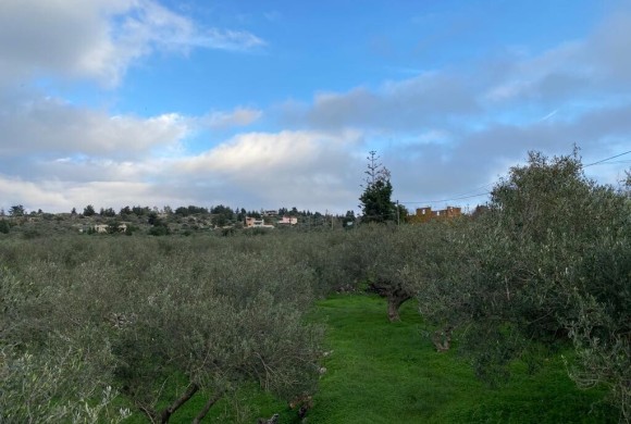 Land for sale in Chania Prefecture