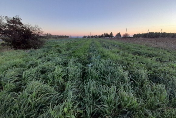 Land for sale in Suburbs