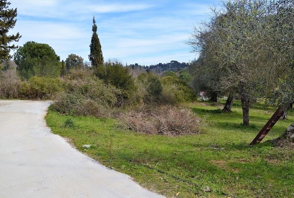 Land for sale in Corfu Prefecture