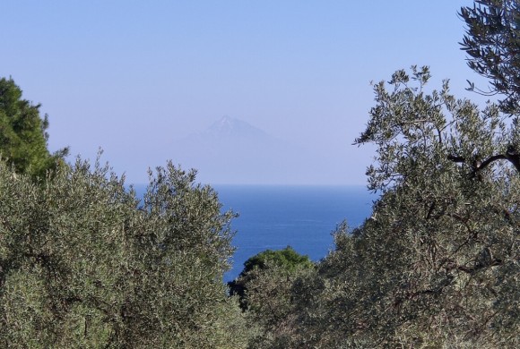 Land for sale in Chalkidiki