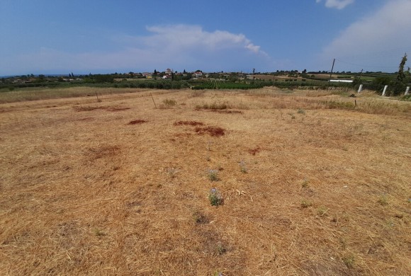 Land for sale in Chalkidiki