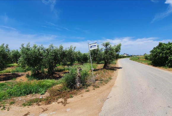 Land for sale in Chalkidiki