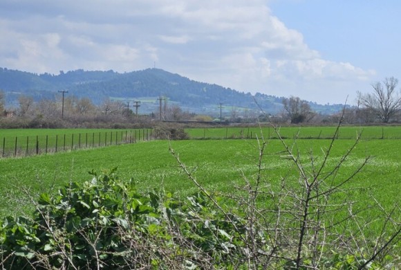 Land for sale in Chalkidiki