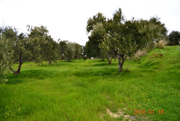 Land for sale in Heraklion Prefecture