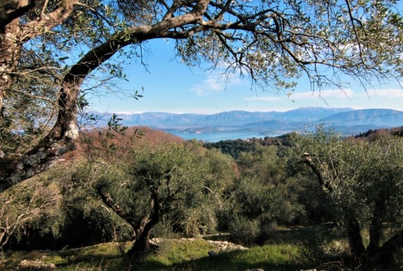 Land for sale in Corfu Prefecture