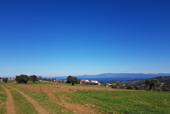 Land for sale in Chalkidiki