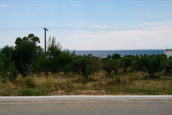 Land for sale in Chalkidiki