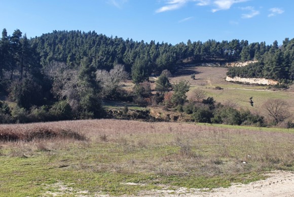 Land for sale in Chalkidiki