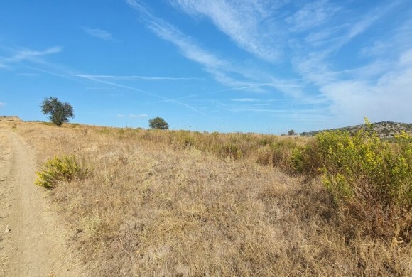 Land for sale in Chalkidiki