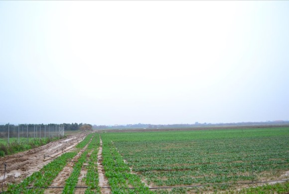 Land for sale in Suburbs