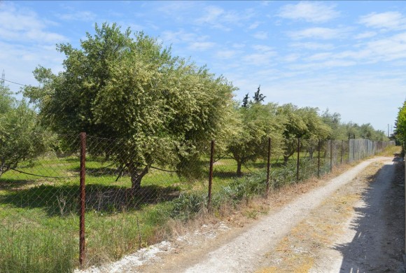 Land for sale in Corinthia