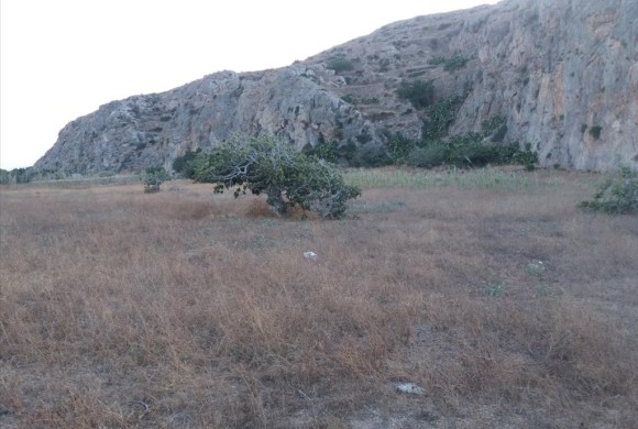 Land for sale in Cyclades