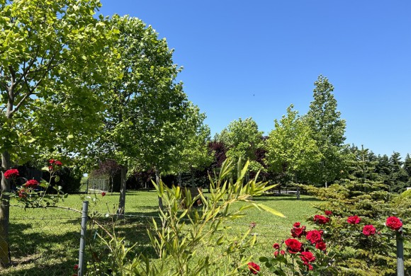 Land for sale in Pieria Prefecture