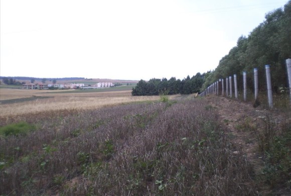Land for sale in Chalkidiki