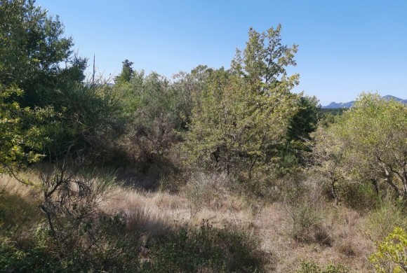 Land for sale in Corfu Prefecture