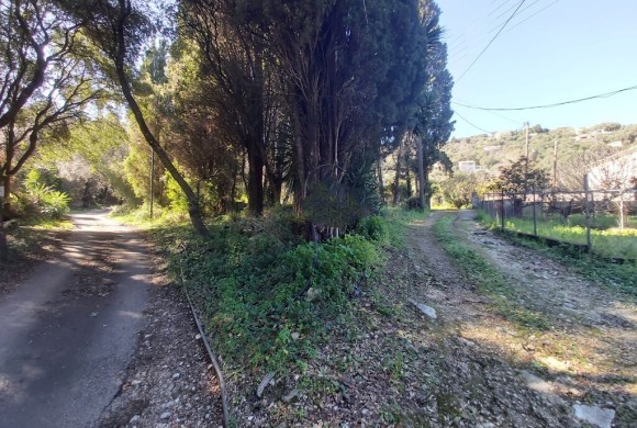 Land for sale in Corfu Prefecture