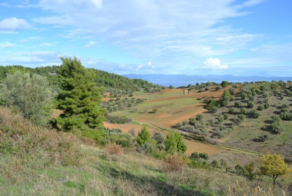 Land for sale in Chalkidiki