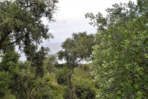 Land for sale in Corfu Prefecture