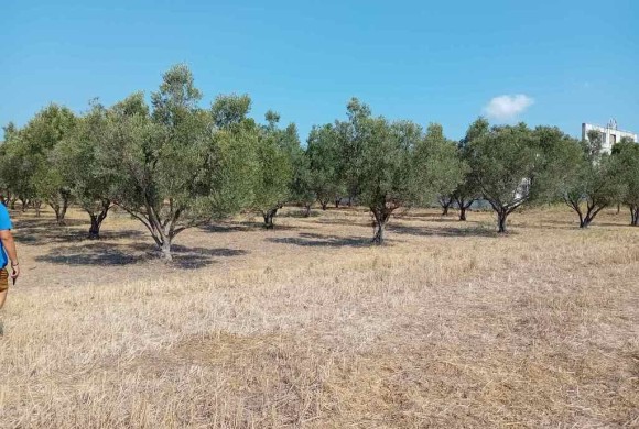 Land for sale in Chalkidiki